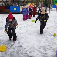 «Четыре царства здоровья»